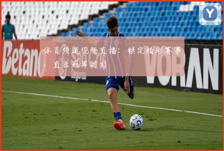 体育频道现场直播：锁定精彩赛事，直击冠军时刻