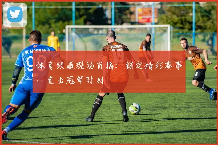 体育频道现场直播：锁定精彩赛事，直击冠军时刻